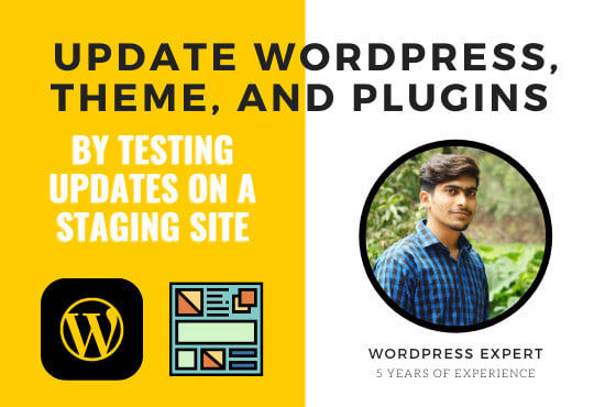 I will update wordpress, themes, plugins with backup and fix issues
