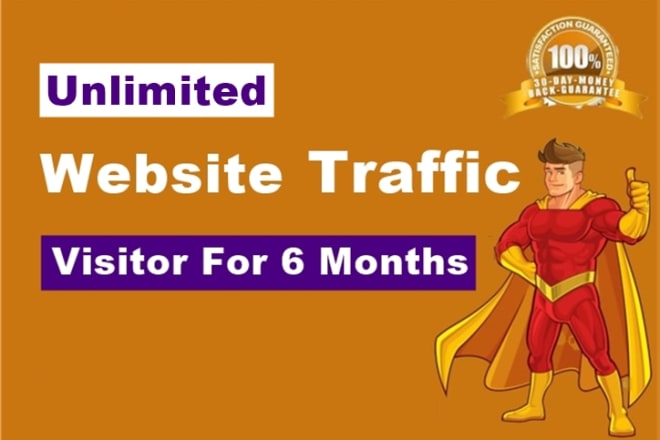 I will website traffic, unlimited website visitor for 6 months