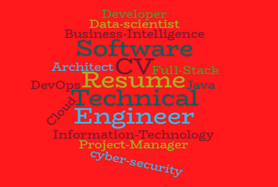 I will write, edit and rewrite technical resume, software developer, engineer cv writer