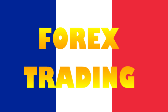 I will write or translate forex french article