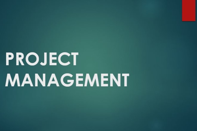 I will your professional project management expert