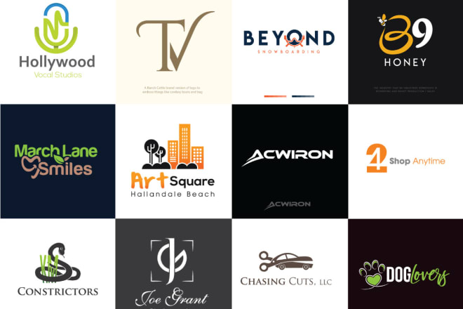 I will create 3 amazing logo designs for your business