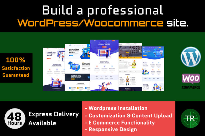 I will design professional wordpress websites
