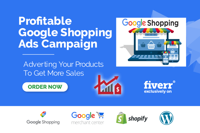 I will fix google merchant account feed issue and setup shopping ads that make sales