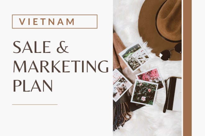 I will make a vietnam online sale and marketing plan