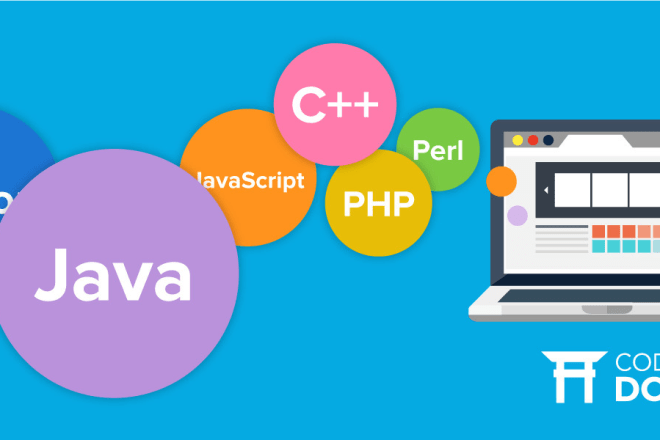 I will web java programming python script assignment java developer