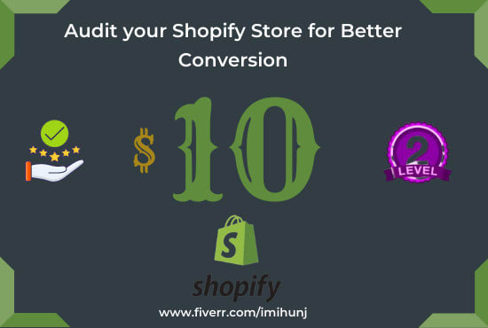 I will audit your shopify store professionally for best conversion