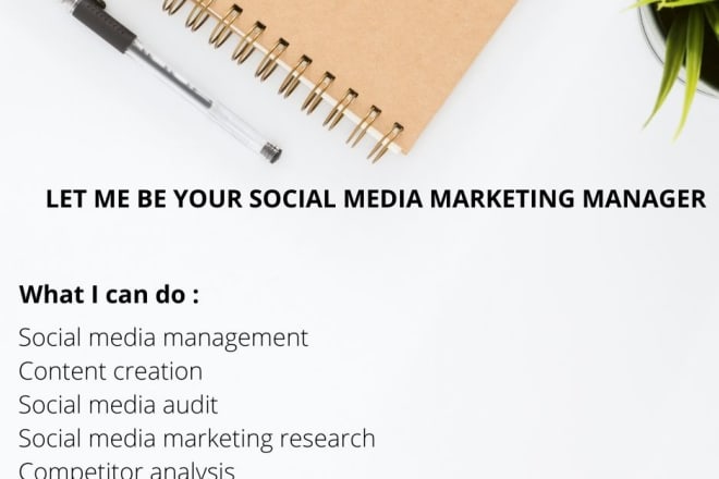 I will be your social media marketing manager