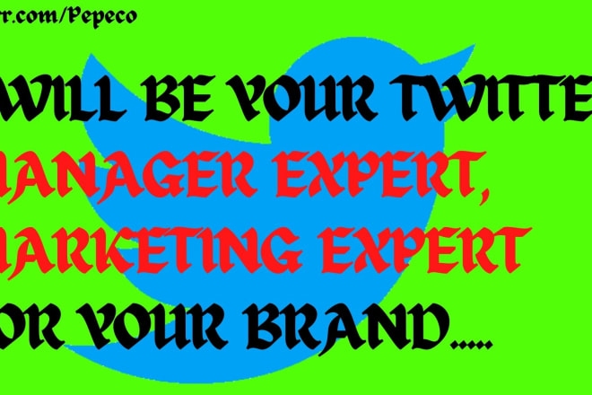 I will be your twitter marketing manager, promotion, ads, bot expert