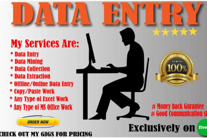 I will be your virtual admin assistant for data entry, web research