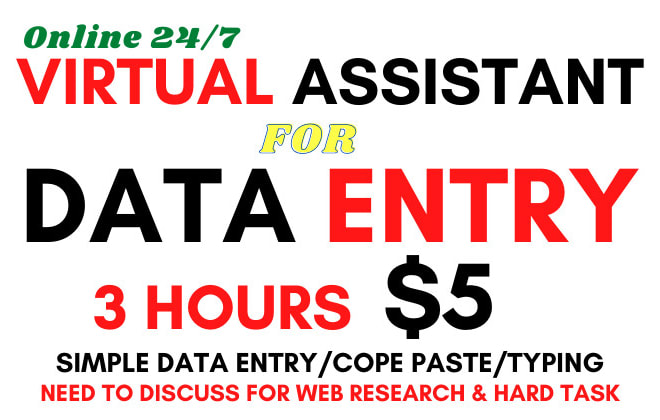 I will be your virtual assistant for 3 hours data entry services