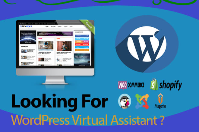 I will be your wordpress virtual assistant, wordpress maintenance