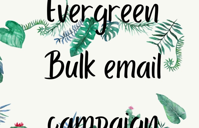 I will blast bulk email campaign, email blast, email sender and template design