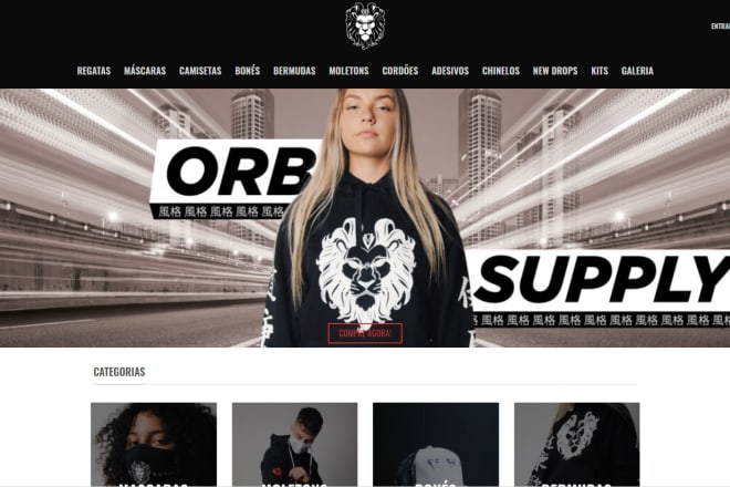 I will build a custom store or website for you on wix
