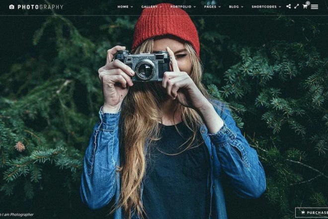 I will build your responsive photography wordpress