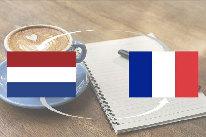 I will conscientiously translate any text from dutch to french