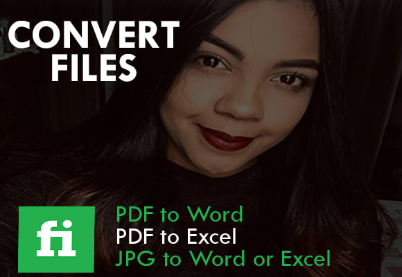 I will convert PDF to word, convert pdf to excel