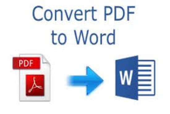 I will convert scanned PDF to word or editable text