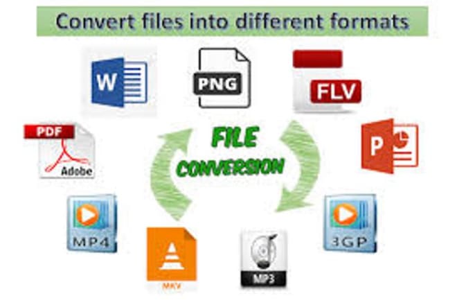 I will convert your files into PDF I word I any other extension