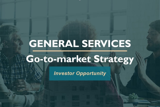 I will create a go to market strategy for your company or product