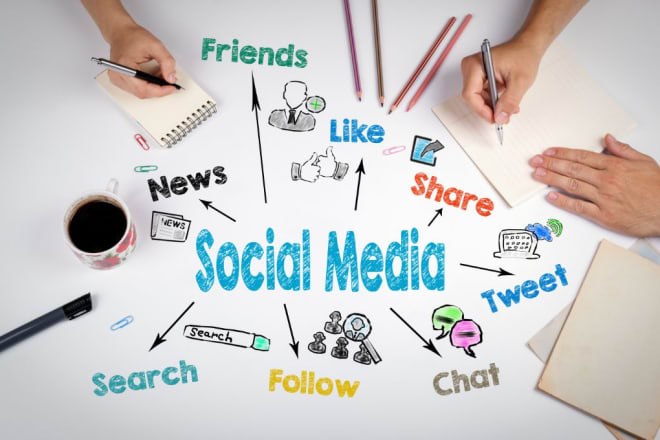I will create a social media strategy for your brand