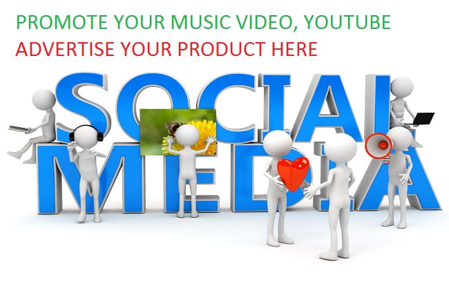 I will create a viral audience for your music online