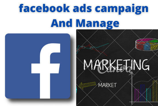 I will create and setup facebook ads campaign and manage
