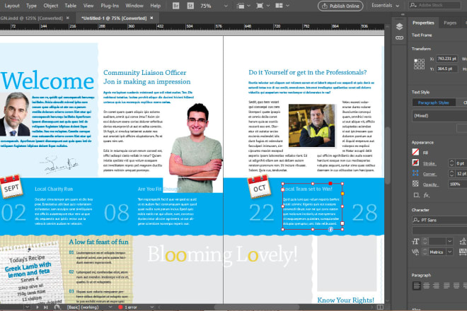 I will create, design and format book in adobe indesign