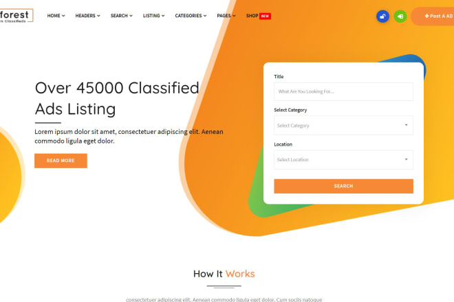 I will create your classified ads website using wordpress