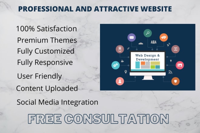 I will develop a professional and responsive wordpress website