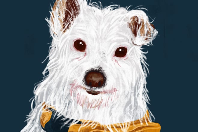 I will digitally illustrate your pet