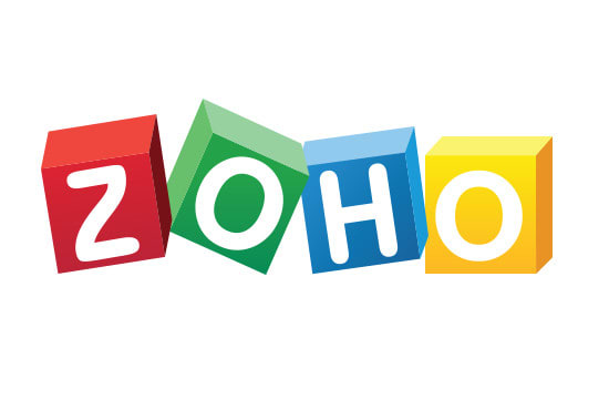 I will do anything zoho from planning to developing to optimization