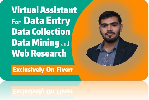 I will do expert data entry, scraping, copypaste, assignments