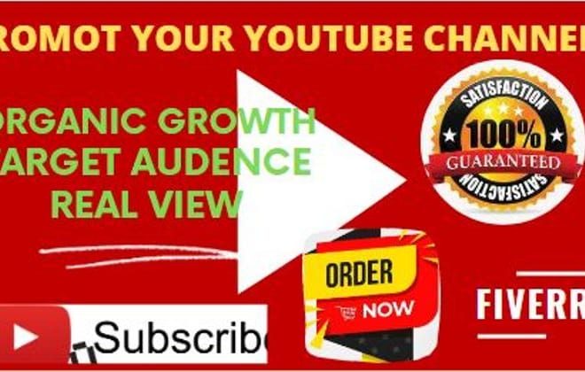 I will do organic and professional youtube video promotion