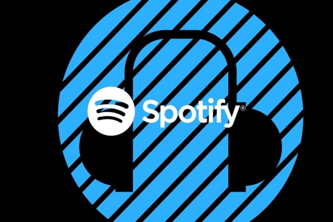 I will do organic spotify music promotion for tracks