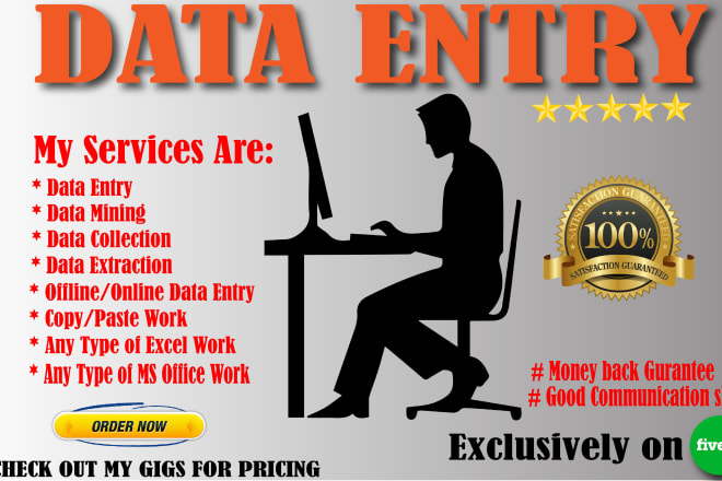 I will do professional data entry pic pdf to text word excel powerpoint online offline