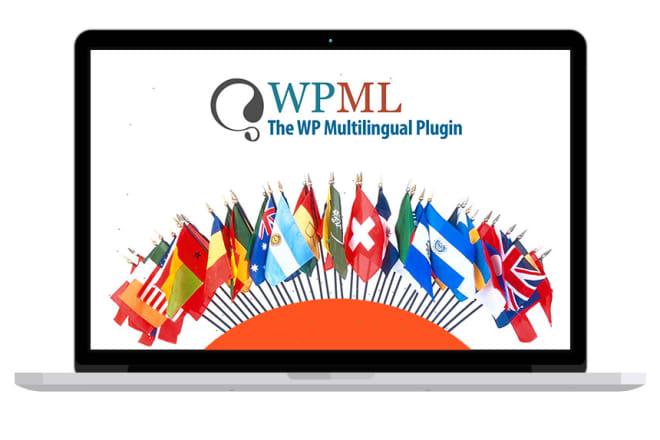 I will do translation of your wordpress website using wpml plugin