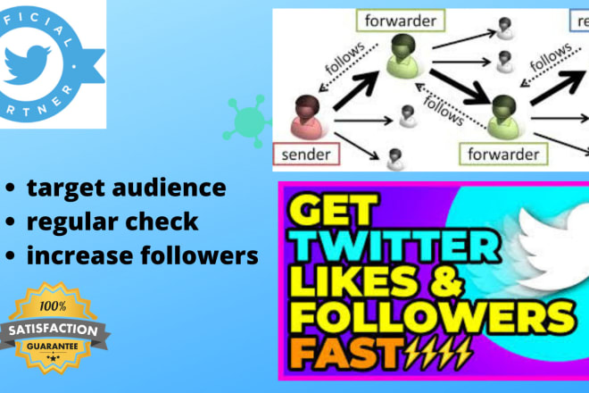 I will do twitter marketing and promotion of your account