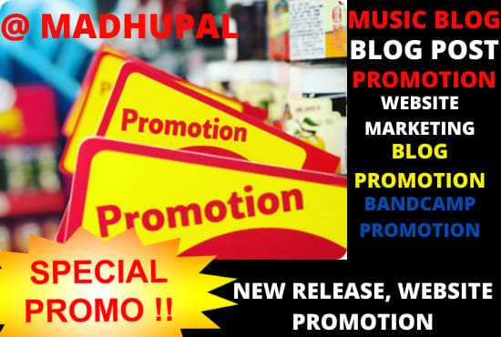 I will do viral music promotion website business store on blog page and channel