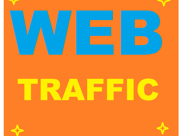 I will drive organic web traffic