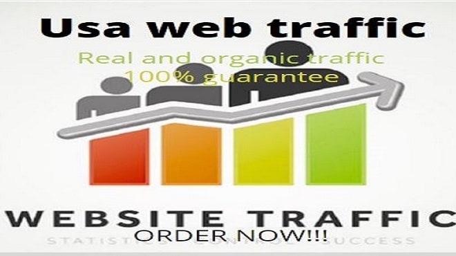 I will drive real and organic USA web traffic visitor to ecommerce website boost SEO