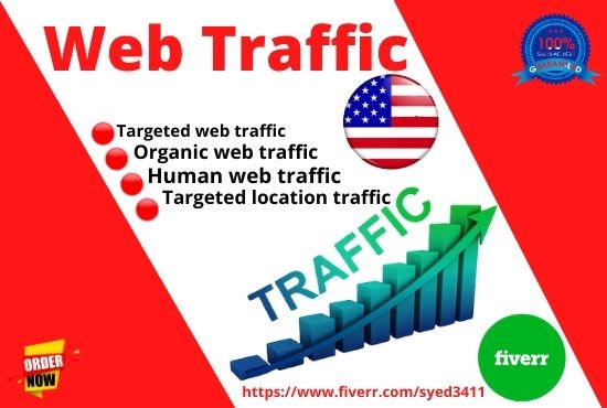 I will drive targeted web traffic and website promotion