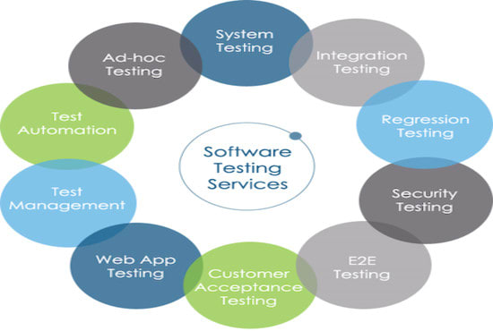 I will facilitate full cycle website testing services