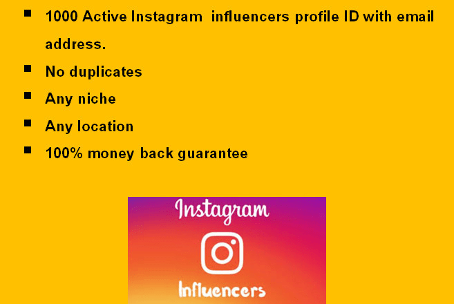 I will find 1000 active instagram influencers profiles of any niche