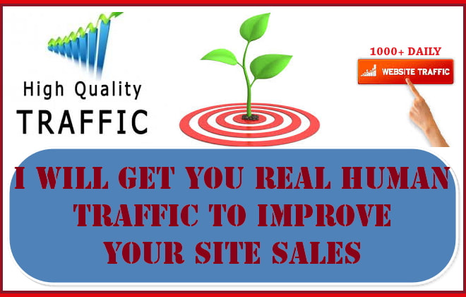 I will give you free website traffic check to improve your sales