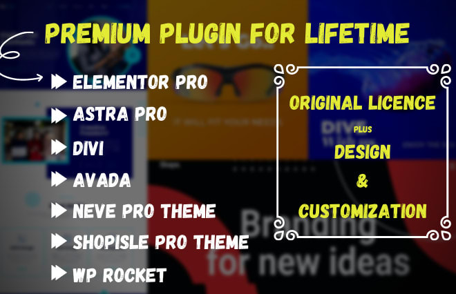 I will install elementor pro, astra pro, divi, neve pro, shopisle pro and customization