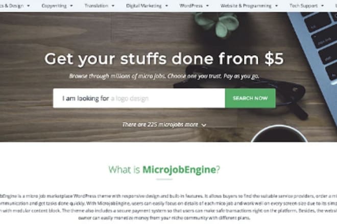 I will install microjobengine freelancing website theme in 24 hrs