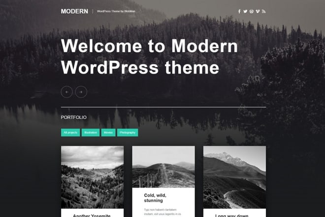 I will make a professional wordpress website