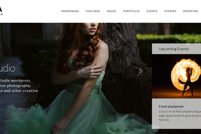 I will make awesome photography website for you with wordpress