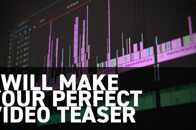I will make your perfect video teaser